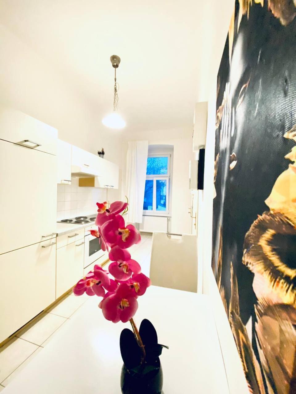 Family Apartment Th8 8 Viyana Dış mekan fotoğraf