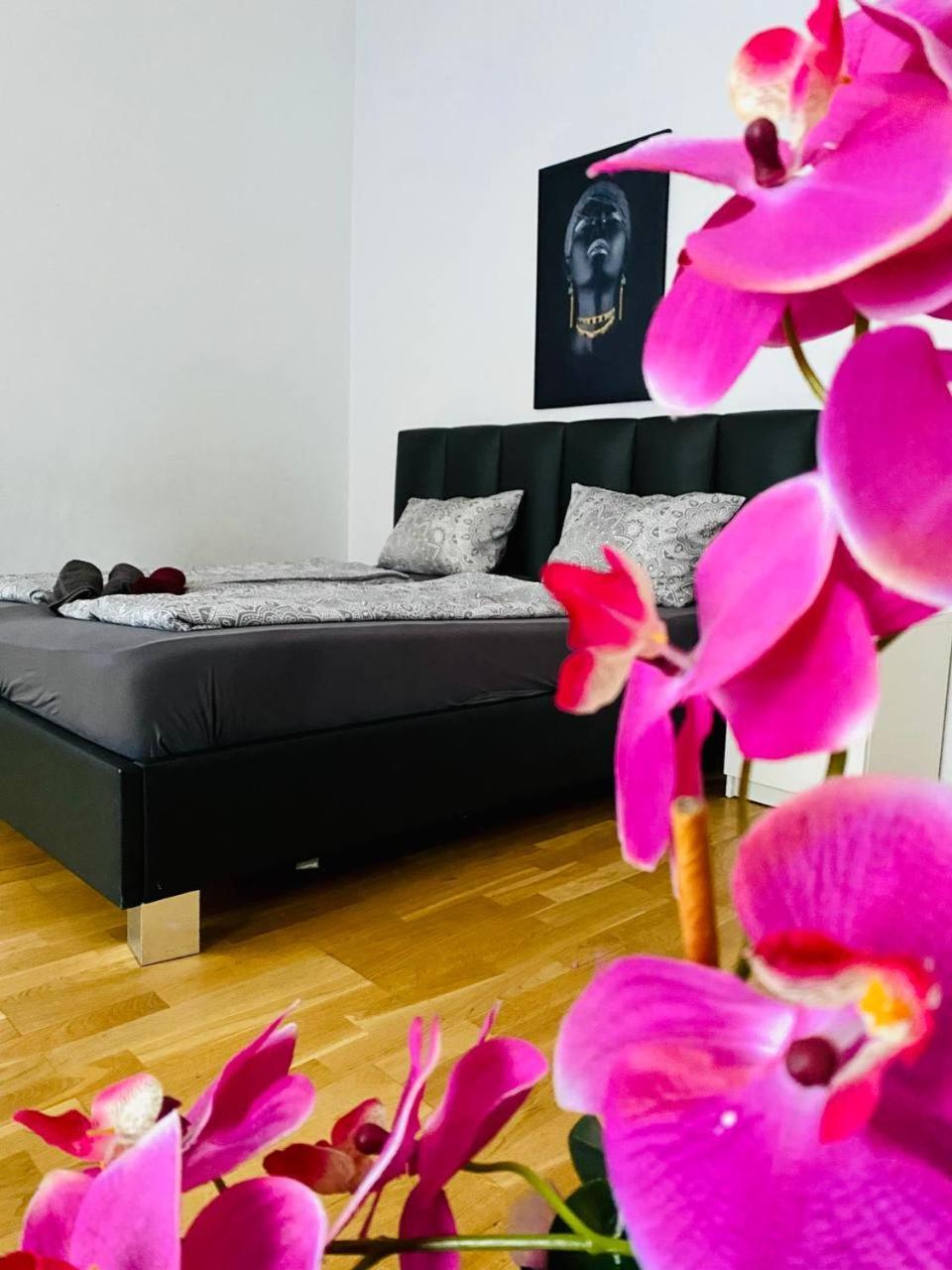 Family Apartment Th8 8 Viyana Dış mekan fotoğraf